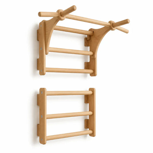 Wall-Mounted Fitness Station: Dip & Pull-Up System